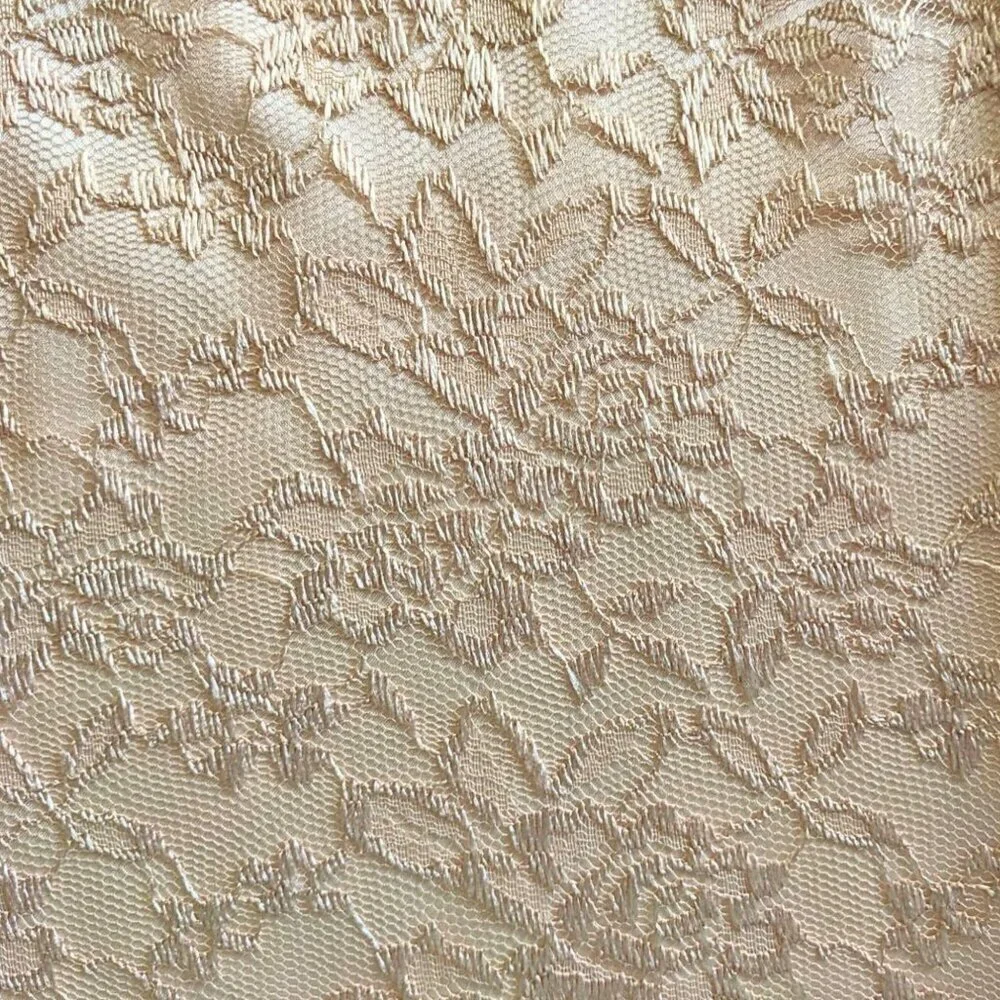 Angelic TAHARI ARTHUR S LEVIN Champagne Satin Georgette Angel Sleeve Lace Overla - Picture 2 of 10